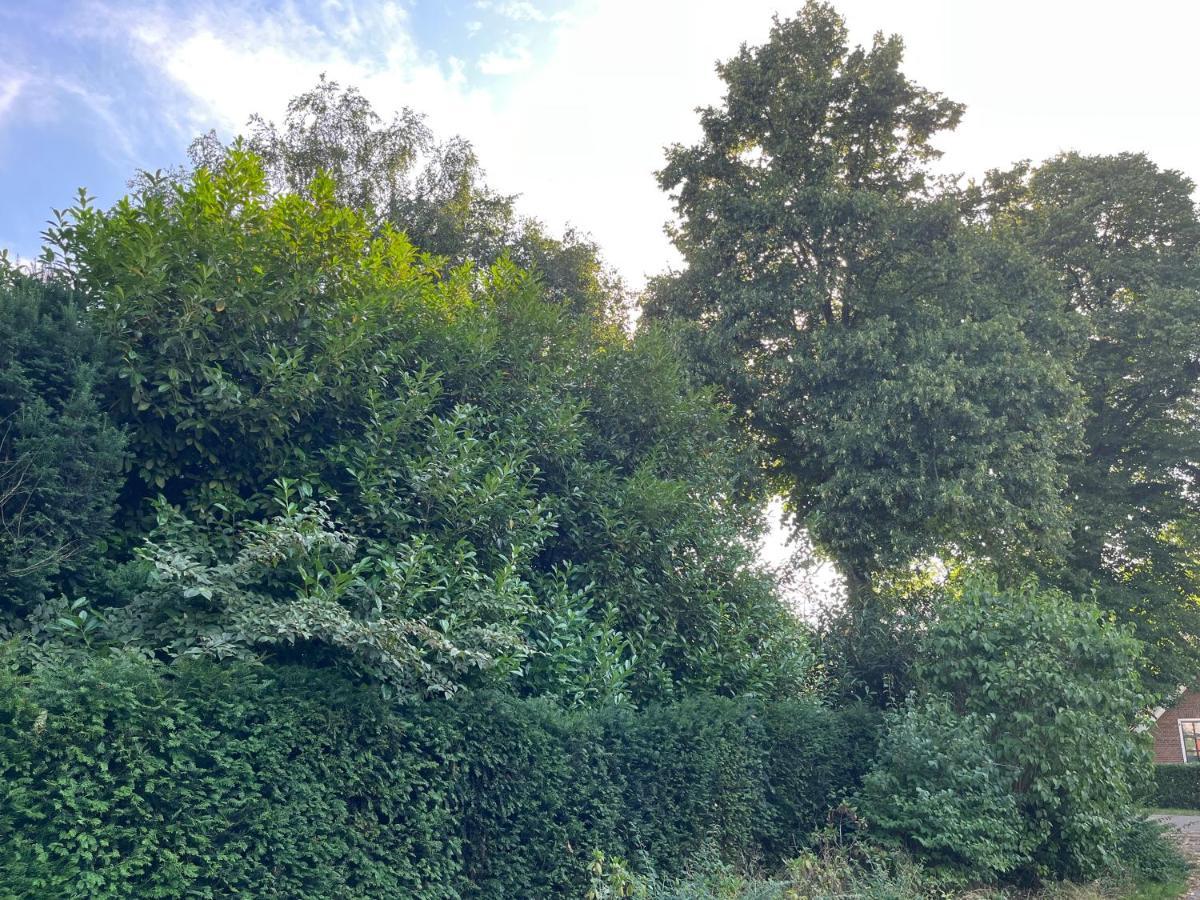 Zwols Groen Zwolle  Exteriör bild